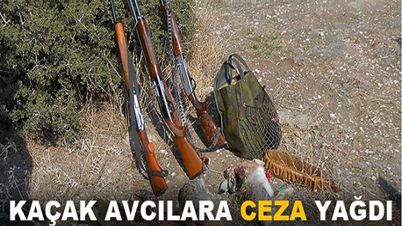 Kaçak avcıya 30 bin lira ceza