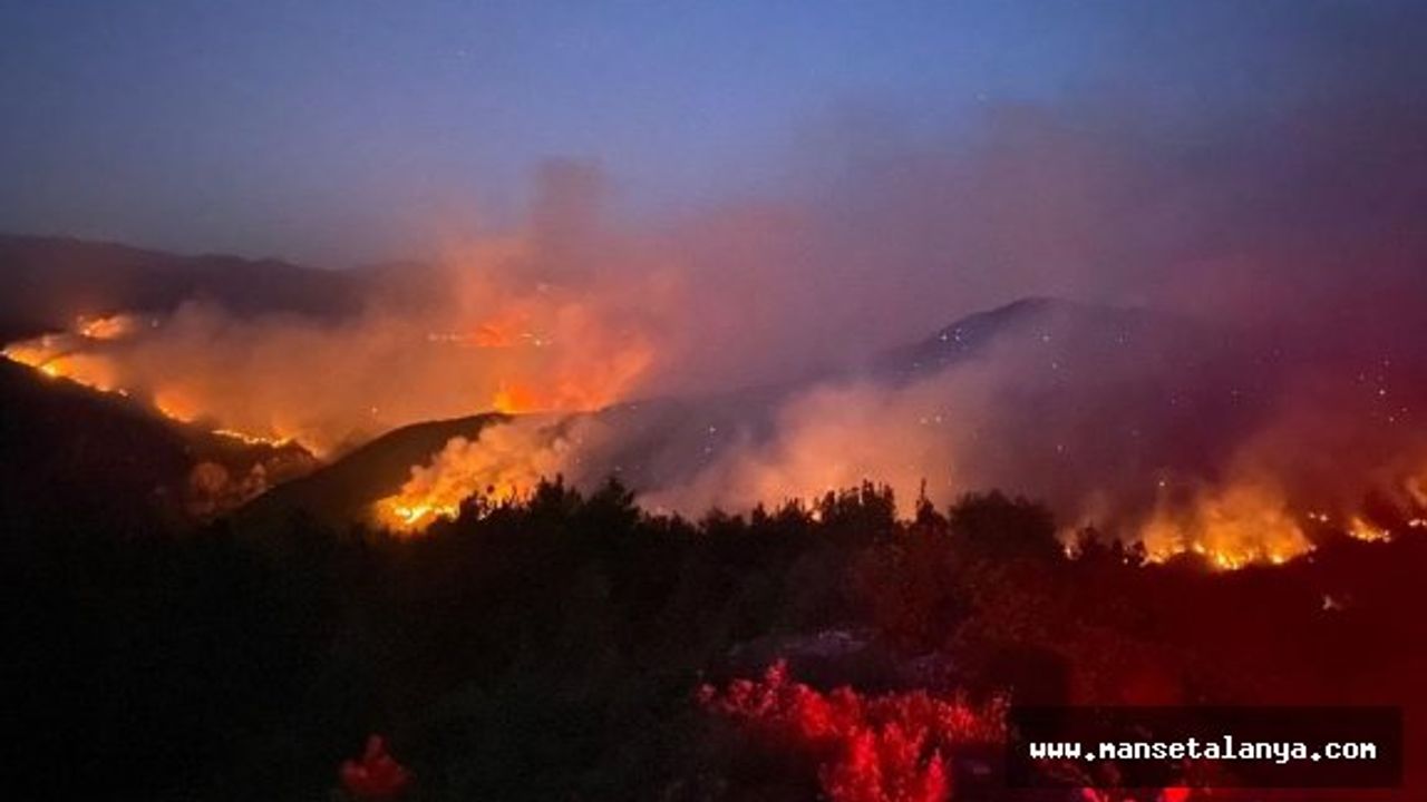 İşte Antalya'da ormana giriş yasağı ile ilgili yeni tarih!