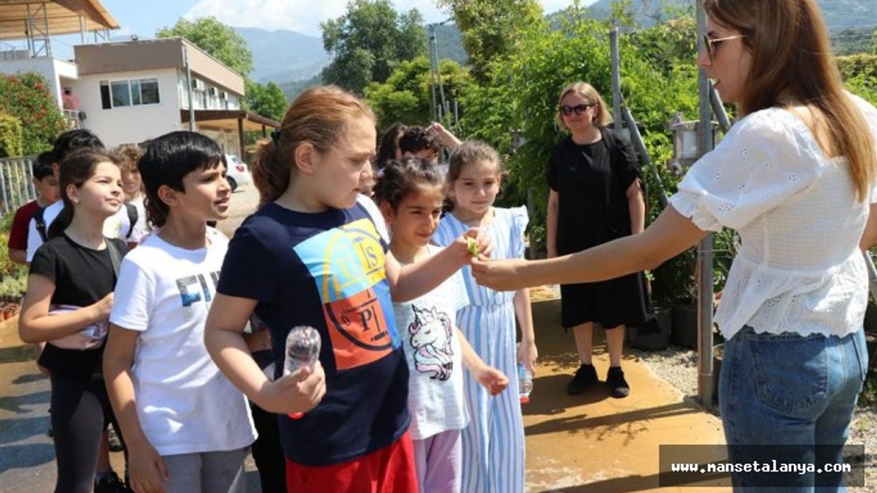 SU KABAĞI MİNİK ÖĞRENCİLERİN ELİNDE HAYAT BULUYOR