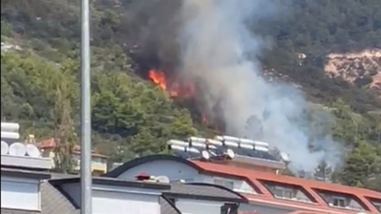 Alanya Mamadı bölgesinde yangın çıktı
