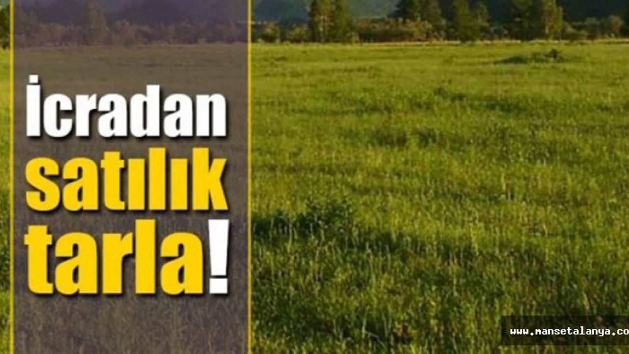 ALANYA'DA 2.620 METRE KARE TARLA İCRADAN SATILIK