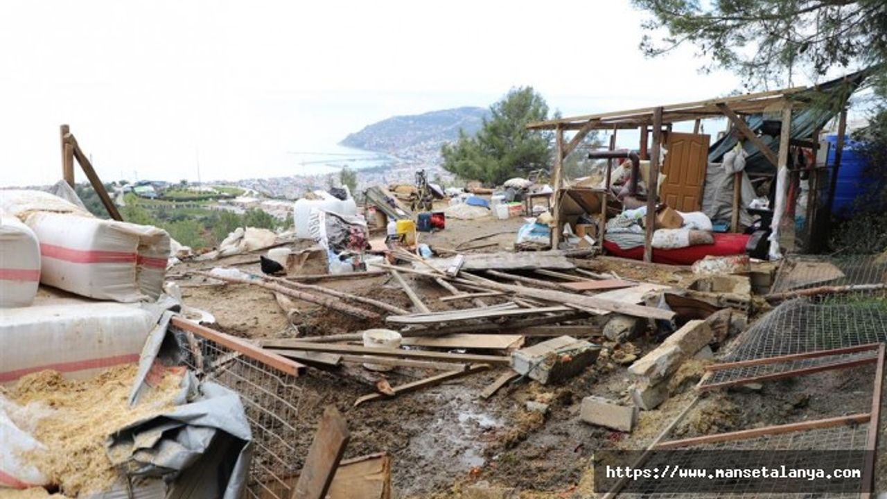 ALANYA'DA HAZİNE ARAZİLERİNİN İŞGALİNE GEÇİT YOK. TAHTA BARAKANIN YIKIMI GERÇEKLEŞTİ