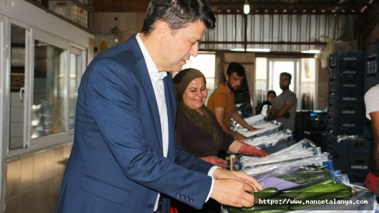 CHP ANTALYA MİLLETVEKİLİ ADAY MURAT ÖZÇELİK, HALCİLERLE BİR ARAYA GELDİ