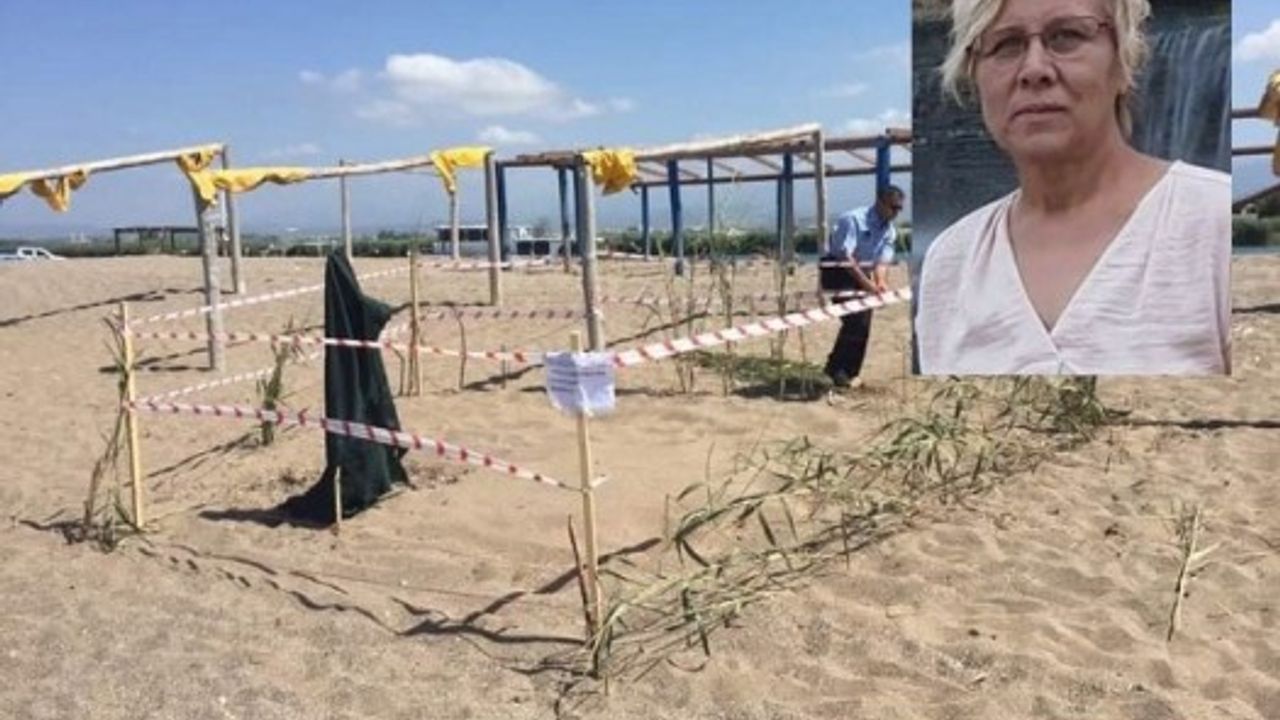 ALANYA'DA CARETTA CARETTA TURİZMİ BAŞLADI!