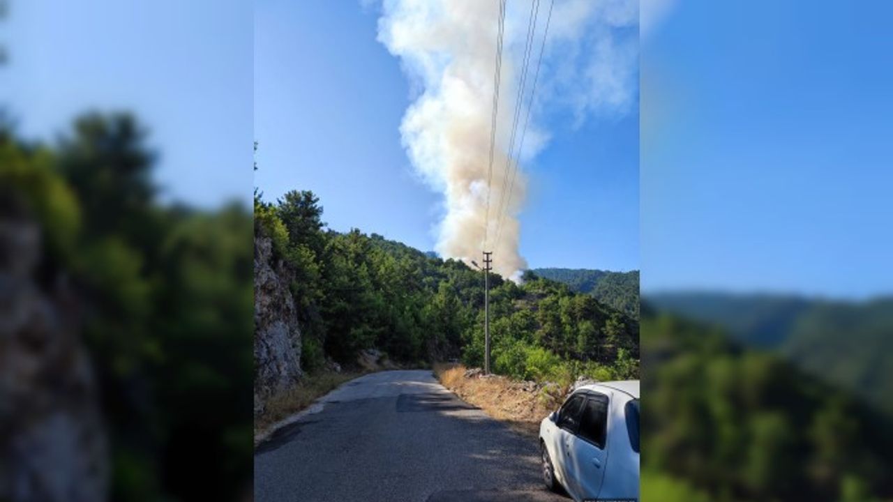 Alanya da çıkan yangın kontrol altında. Muhtar dan açıklama