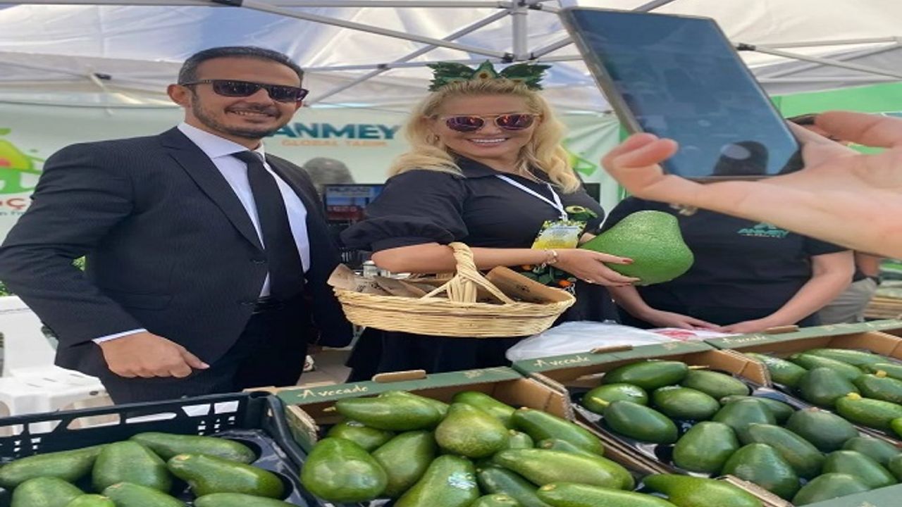 ALANYA'NIN AVOKADOLARI ESTONYA VE FİNLANDİYADAKİ MARKETLERDE YERİNİ ALDI
