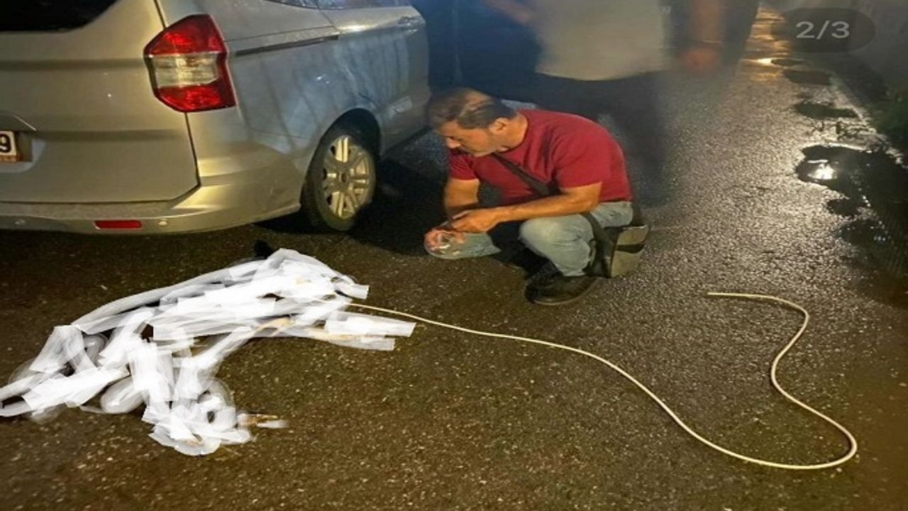ÇOK KORKUNÇ İDDİA. ALANYA'DA BİR OTEL MÜDÜRÜ PERSONELİNE TALİMAT VEREREK, BİR KÖPEĞİ ARACIN ARKASINA BAĞLATTIRARAK SÜRÜKLETTİ