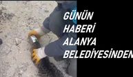 ALANYA'DA KEDİ KURTARILDI