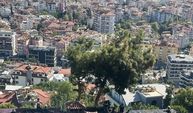 Turizmci Serdar Köseoğlu'nun evinin çatısı yangından dolayı kullanılamaz hale geldi