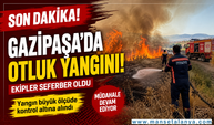 SON DAKİKA | Gazipaşa Aydın Mahallesi'nde Otluk Yangını! Ekipler Hızla Müdahale Etti