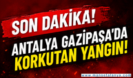 Son Dakika: Gazipaşa'da Korkutan Yangın! Alevler İş Yerleri ve Araçları Tehdit Ediyor