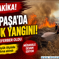 Dünya