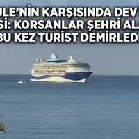 SEKTÖR