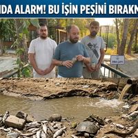SİYASET