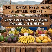 DÜNYA