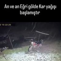 Genel