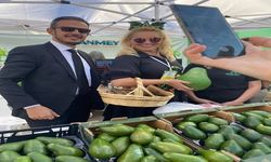 ALANYA'NIN AVOKADOLARI ESTONYA VE FİNLANDİYADAKİ MARKETLERDE YERİNİ ALDI
