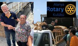Alanya Rotary Kulübünden Hatay/Samandağ’a Anlamlı Destek: 10 Aileye 10 Gebe Düve Bağışı