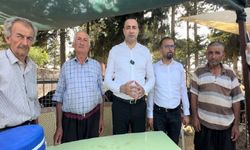CHP Milletvekili Aykut Kaya, Gazipaşa Hayvan Pazarı'nda Kurban Bayramı Öncesi Sorunları Dinledi
