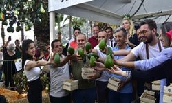 Alanya'da Tropikal Meyve Üretimi Büyüyor