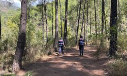 Alanya'da Ormanlık ve Mesire Alanlarında Yangın Denetimi