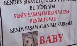 “Bu Dünya Hepimizin”: Alanya’da Köpek Sahibi Komşularına Seslendi