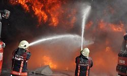 Mahmutlar’da Korkutan Yangın: Bir Kedi Hayatını Kaybetti