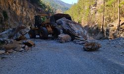 Taşatan Yolunda Heyelan: Ekiplerin Hızlı Müdahalesiyle Yol Tekrar Açıldı