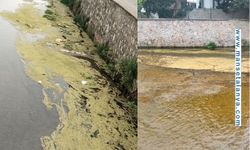 Dim Çayı’nda Tehlike Çanları: Berrak Su Yerini Kirliliğe Bıraktı