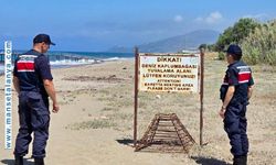 KAPLUMBAĞALAR İÇİN ALANYA'NIN DEMİRTAŞ SAHİLLERİNE GECE YASAĞI