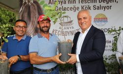 Alanya Keçiboynuzu Artık Tescilli! 3 Bin Fidanla Üretime Güç