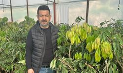 Alanya’da hal kavgası büyüyor: “CHP önce rakamları doğru bilsin”