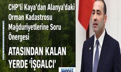 CHP’li Kaya Alanya’daki Orman Kadastrosunu Meclis’e Taşıdı: Atadan Kalan Tarlaya ‘İşgal’ Muamelesi”