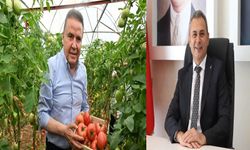 Tavlı’dan Böcek’e Sert Eleştiri: “Yeni Hal Projesinde Sınıfta Kaldı”