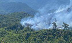 Alanya’da Sabah Alarmı: Orman Yangını Kontrol Altına Alındı