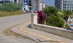 Alanya Kavrulurken Yılanlar Gün Yüzüne Çıktı. İşte O mahalle…