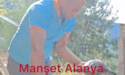 Alanya Belediyesi Ekipleri Şaşkına Döndü: Bir Kaplumbağa Neden Konteynerdeydi? Cevabı Bilmiyoruz, Ama Sonu Güzel Bitti
