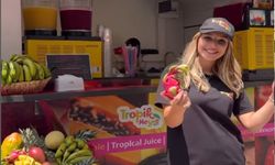 Avokado ve Mango Yetmedi: Ejder Meyvesi Alanya’nın Yeni Yıldızı Oldu. İşte fiyatı