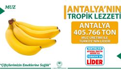 Antalya, Muz Üretiminde Türkiye’nin Zirvesinde