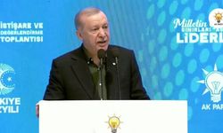 Erdoğan: Biz AK Parti, MHP ve DEM Parti olarak bu yolu beraber yürümeye karar verdik