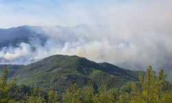 Alanya için Kritik Uyarı