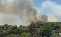 Son dakika: Alanya’da 5 Farklı Noktada Ziraat Yangını Kontrol Altına Alındı