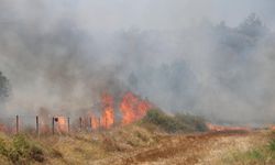 Alanya Okurcalar’daki Yangın Kontrol Altına Alındı