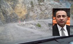 Kaya, Kuş Yuvası İçin Meclis’in Kapısını Çaldı
