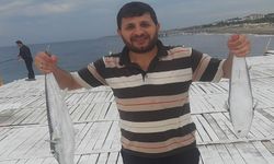 Küresel Isınma Balon Balıklarının Yayılışını Hızlandırıyor