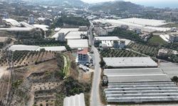 Tapulara Şerh Konuldu, Halk Acele Kamulaştırmaya Tepkili: “Revize Edilmezse Alanya Kaybedecek”