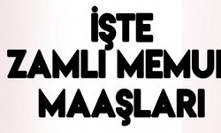 Memur maaşları ne kadar oldu? Öğretmen, polis, gassal, doktor, hemşire... İşte yeni memur maaşları
