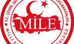 Milli Emlak Alanya’da 4 Dönüm Arazi Satıyor. İşte fiyatı ve yeri