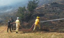 Alanya Payallar’da Yangın Söndürüldü: 2 Dönüm Alan Kül Oldu