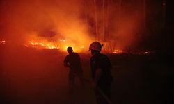 #sondakika: Alanya’da Yangın Alarmı: Valilikten Son Dakika Açıklaması